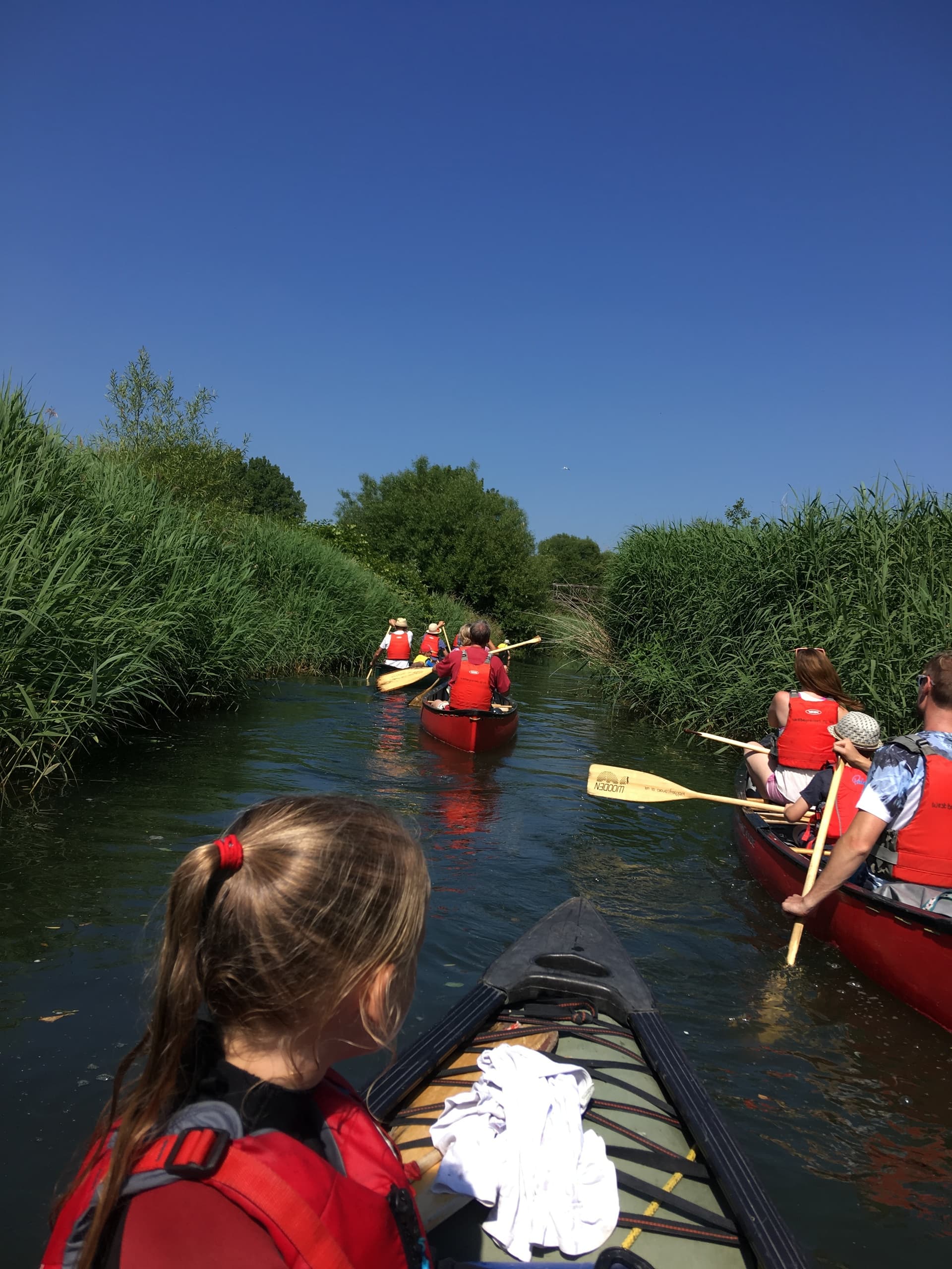 Guided Canoe Experience, West Bay