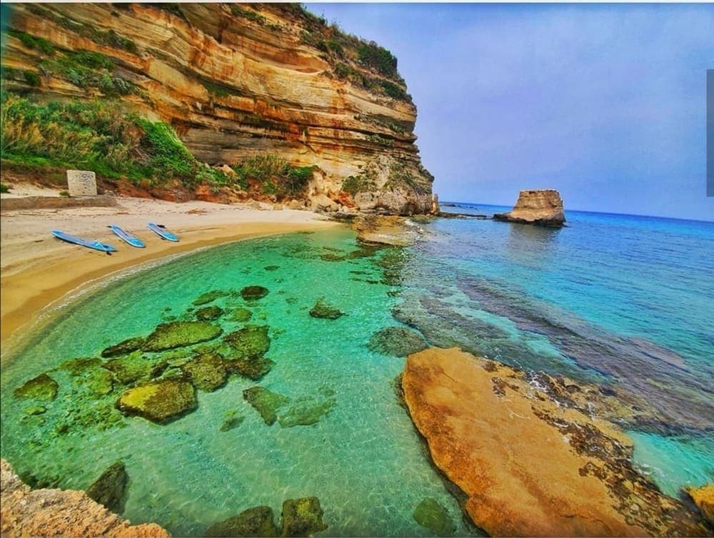 Tour: Tropea - Capo Vaticano / Pomeriggio  🌄 (SEA LIFE)