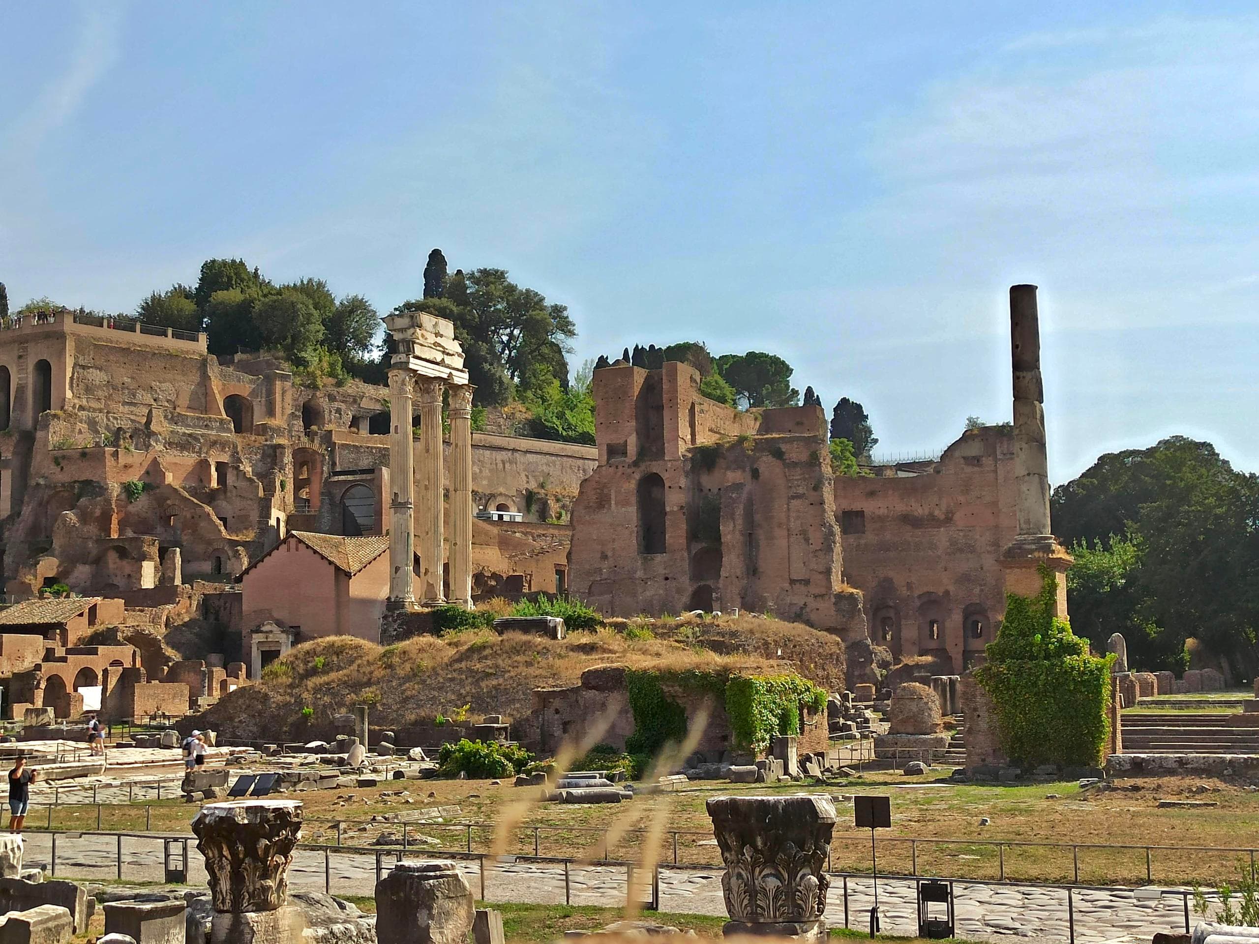 Tour durch das Antike Rom: Forum Romanum, Palatin und Circus Maximus