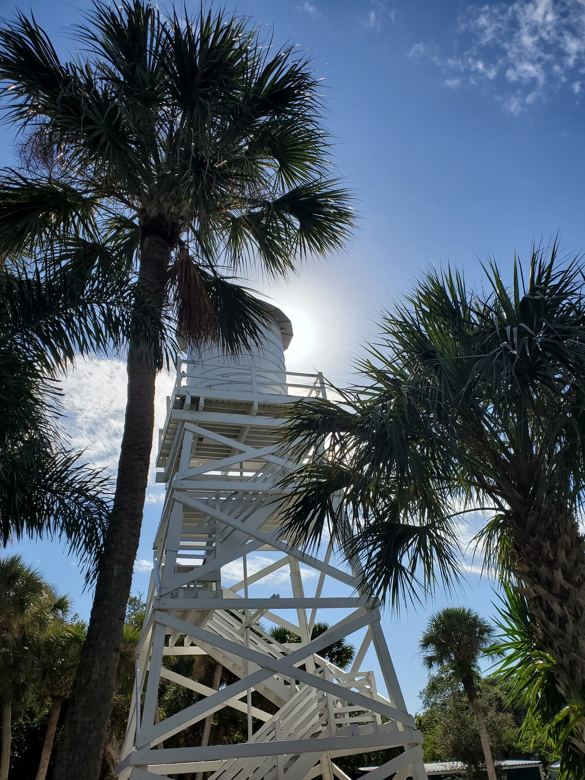 Cabbage Key Island Getaway Boat Tour