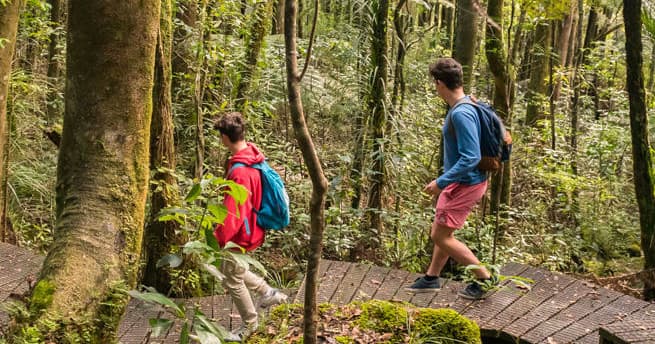 Puketi Eco Hike