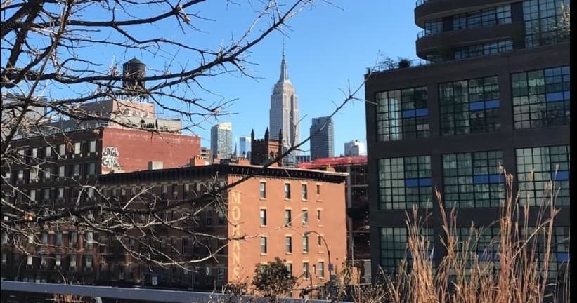 Chelsea & Hudson Yards via The Highline - inklusiv adgang til EDGE