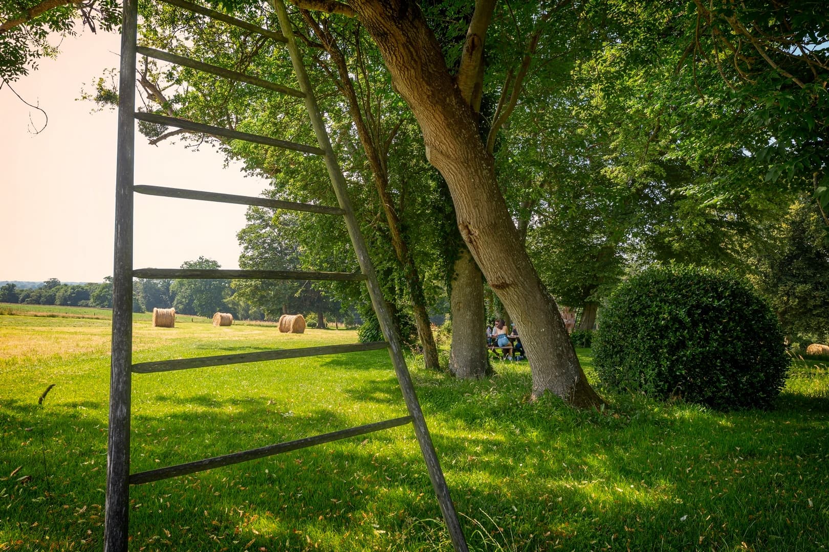 Groupe - Visite libre du parc