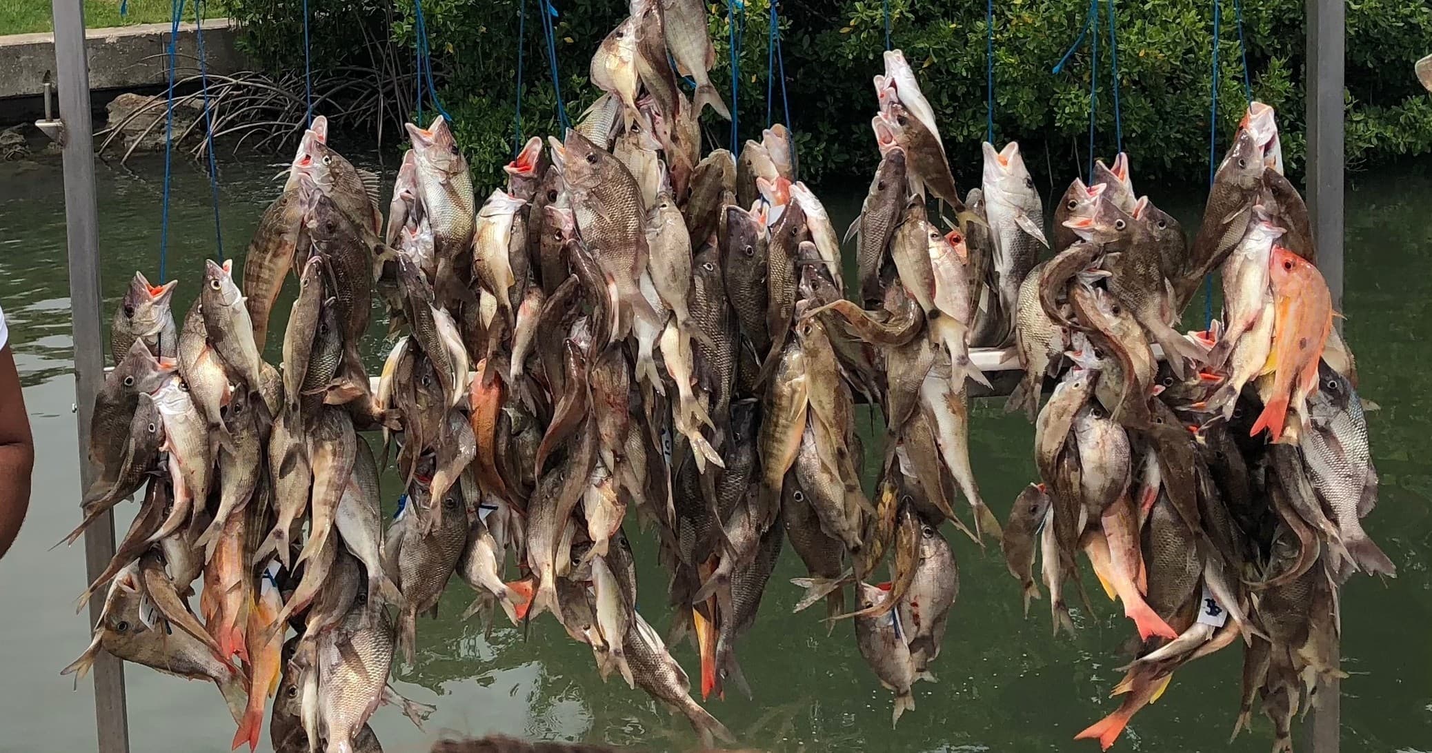 Four and a Half Hour Party Boat Fishing