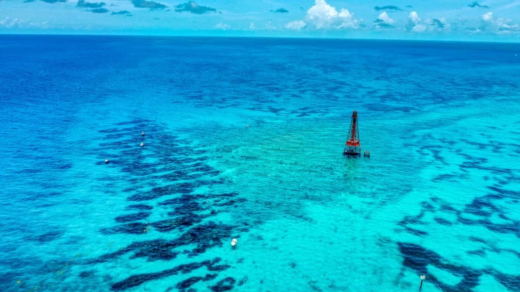 Private Snorkeling Sombrero Reef - Faro Blanco