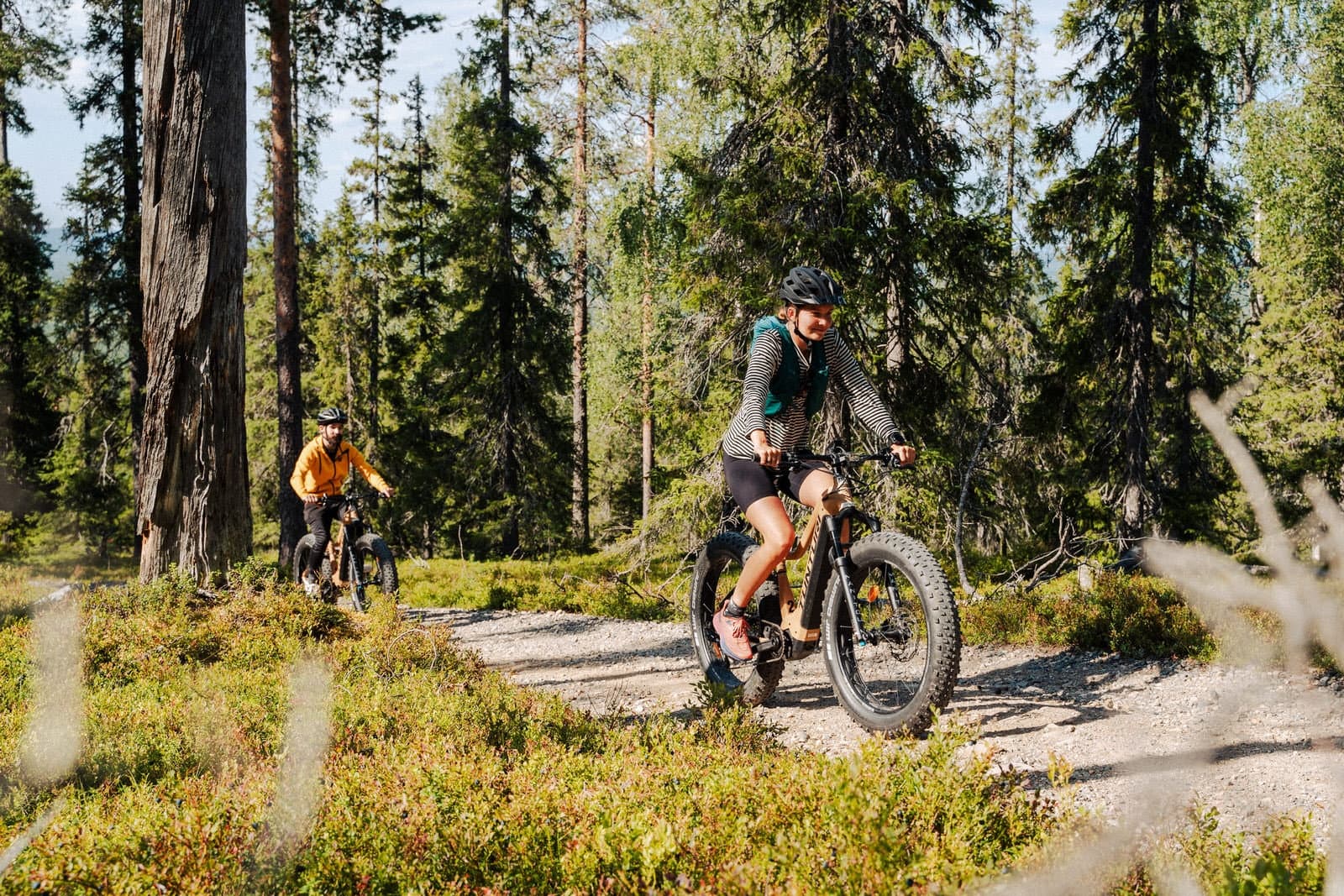 Electric fatbike trip in the Pyhä-Luosto National Park