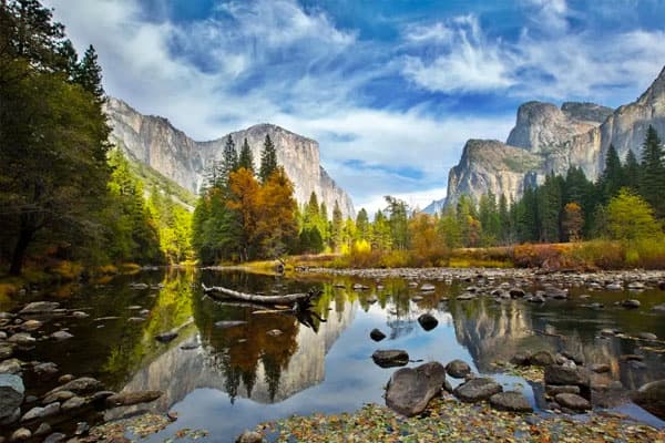 Yosemite Full Day Small Group High Country / Mariposa Tour & Hike