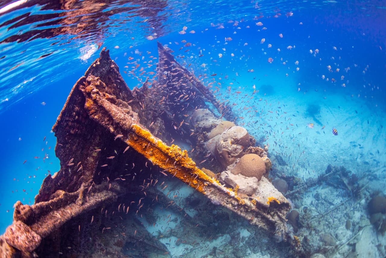 Finz Wreck Dive - Private