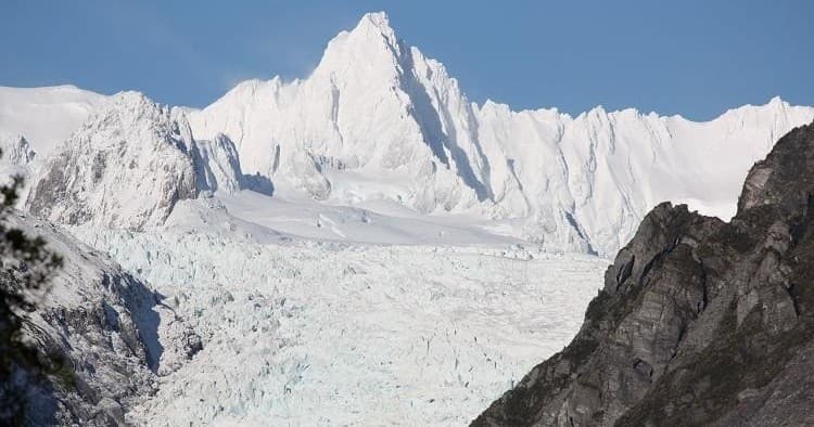 Fox Glacier Nature Tour