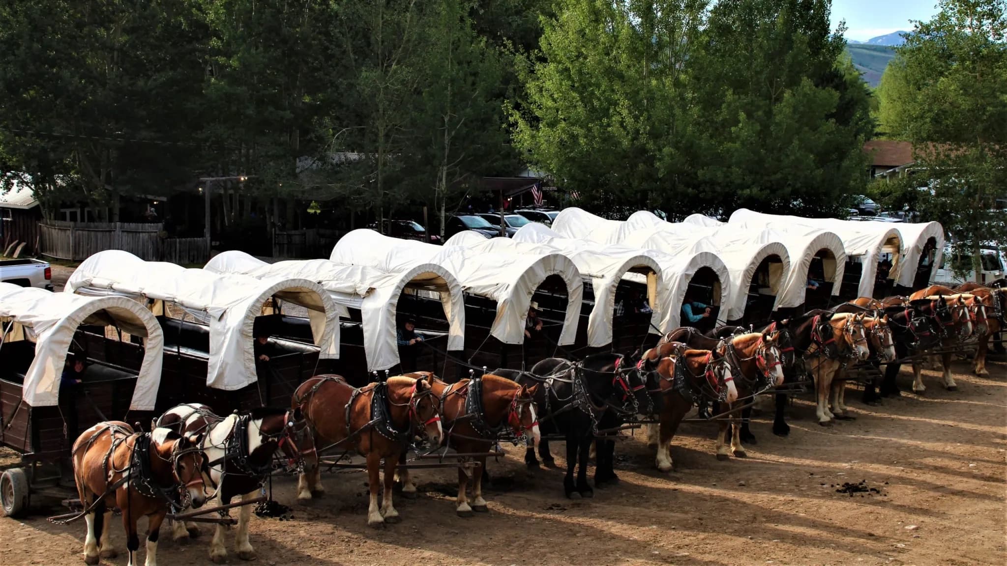 Bar T 5 Chuckwagon Dinner and Show