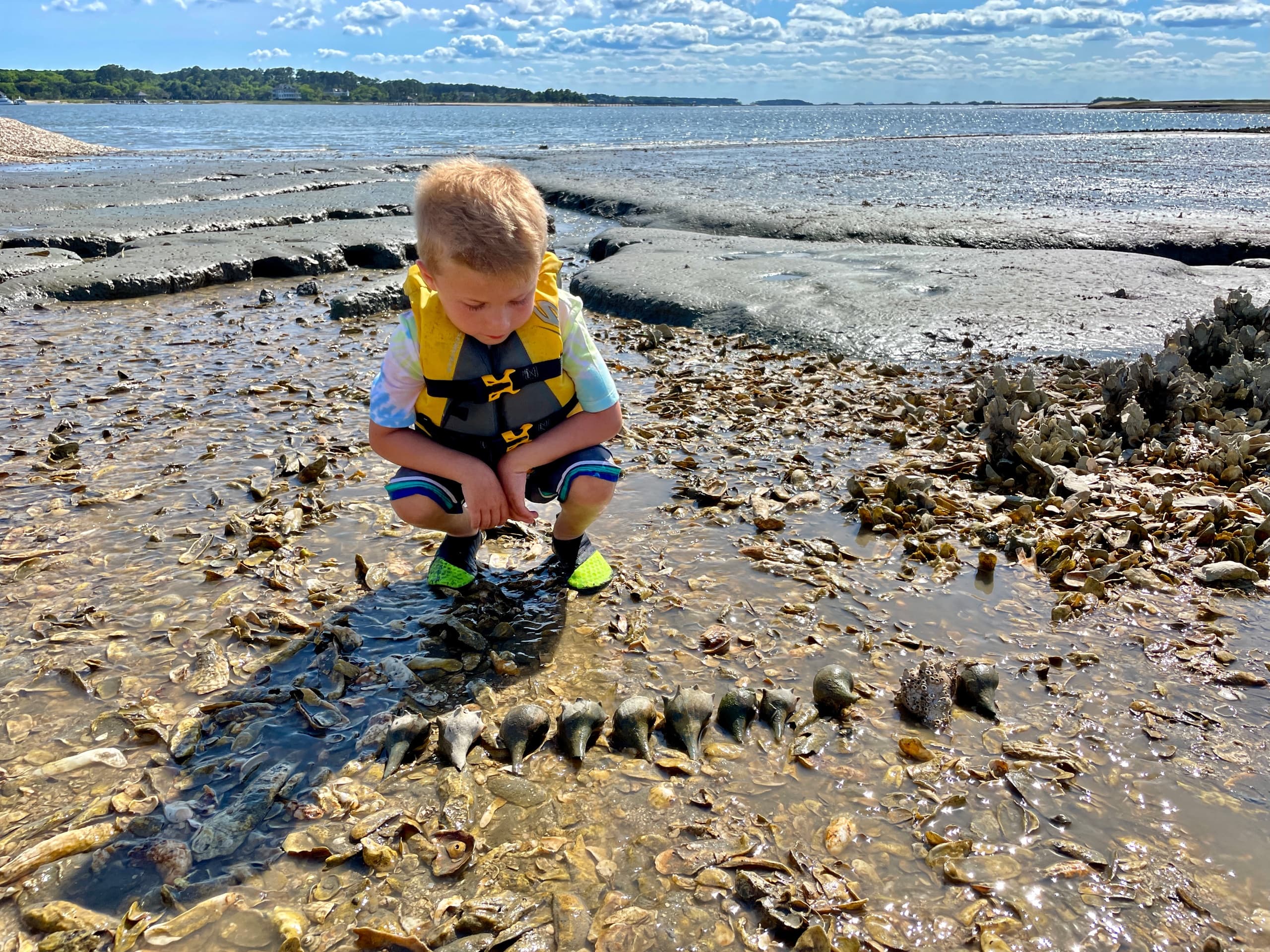 Beachcombing Cruise