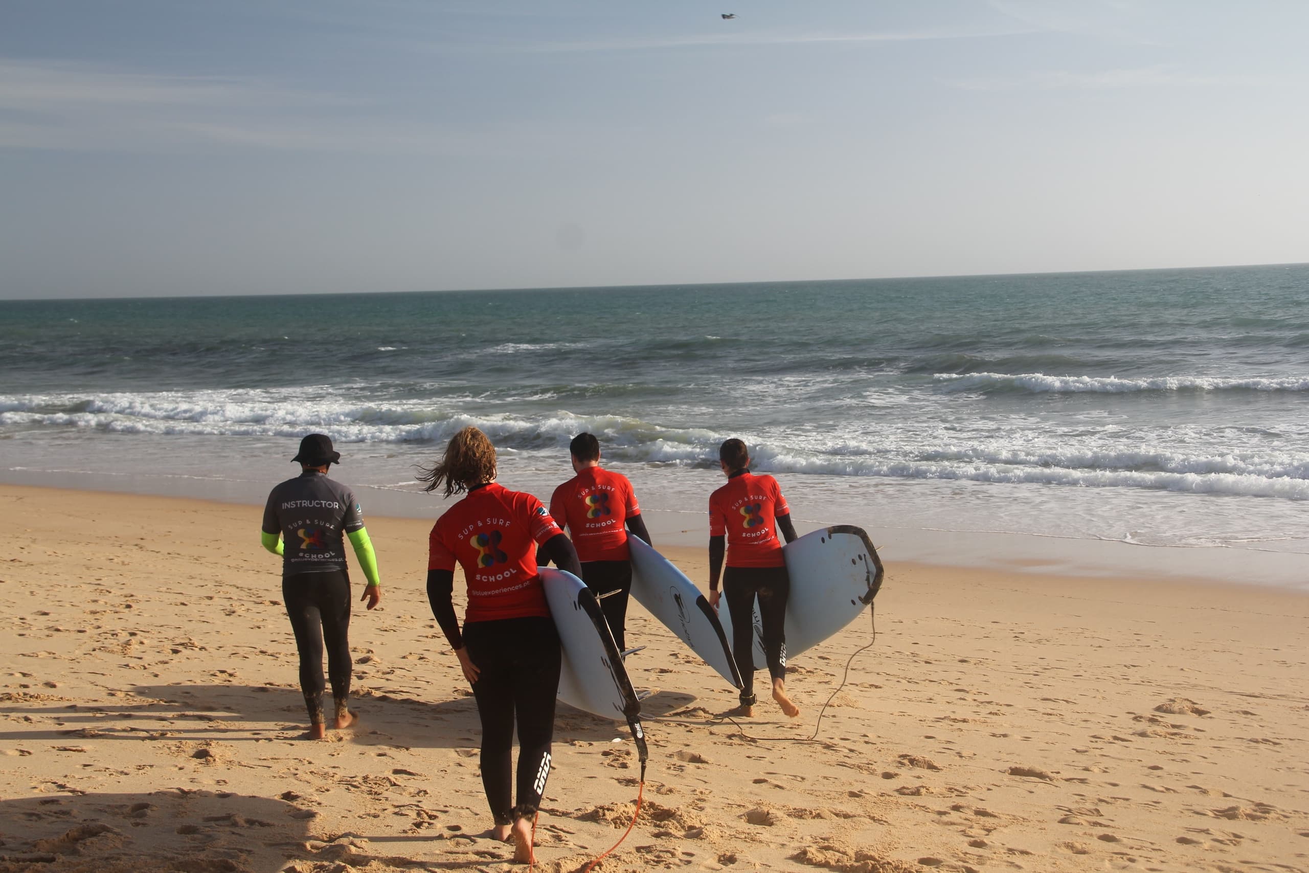 Private Surf lesson • 1 to 4 people session