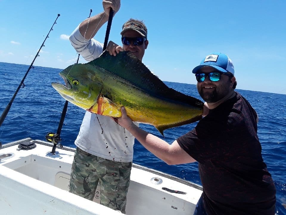 Extended Gulf Stream Trolling: 10 Hours of Serious Fishing