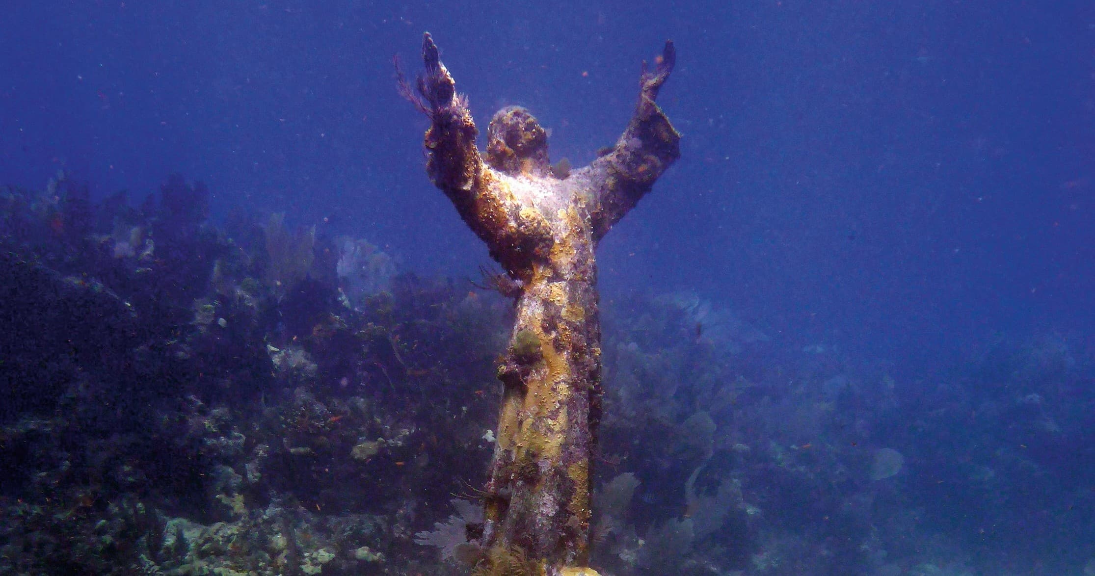 Snorkel Key Largo