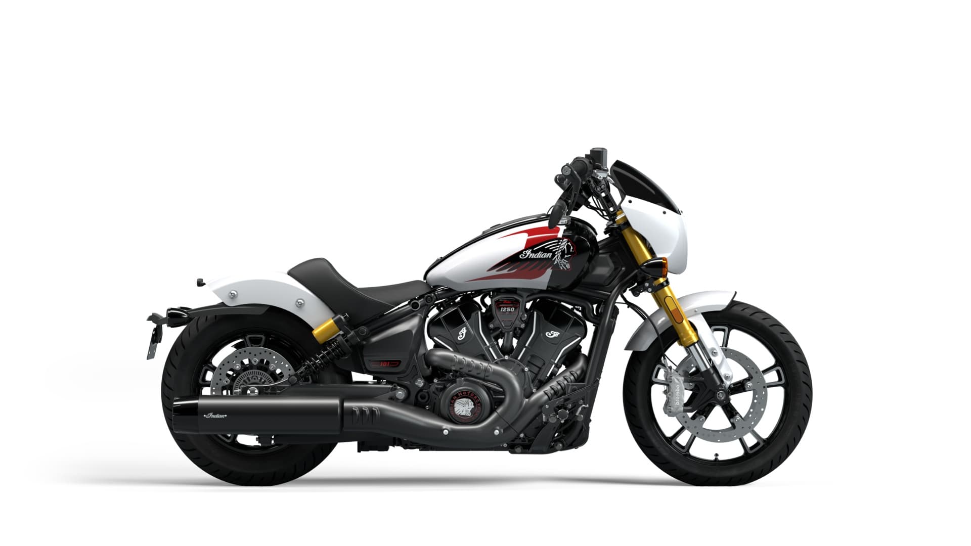 Scout 101 / 1 - 6 Day Rental