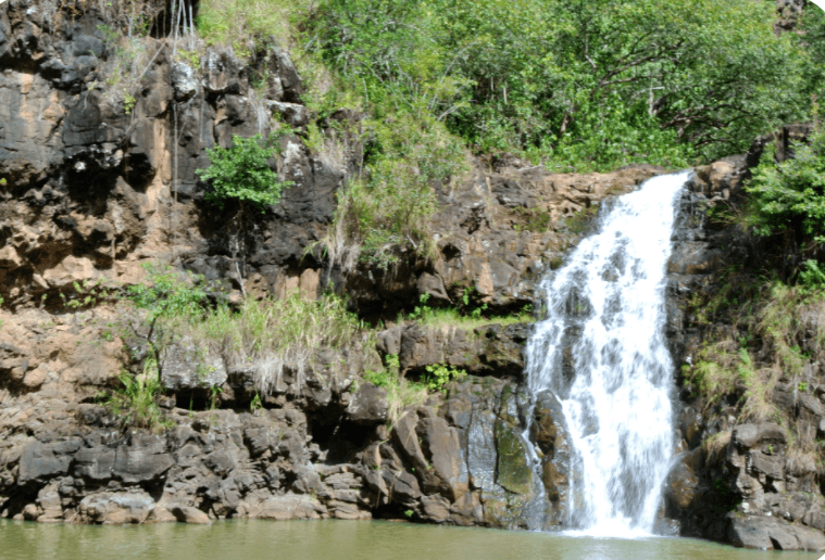 Hidden Gems of Oahu with Waimea Botanical Garden