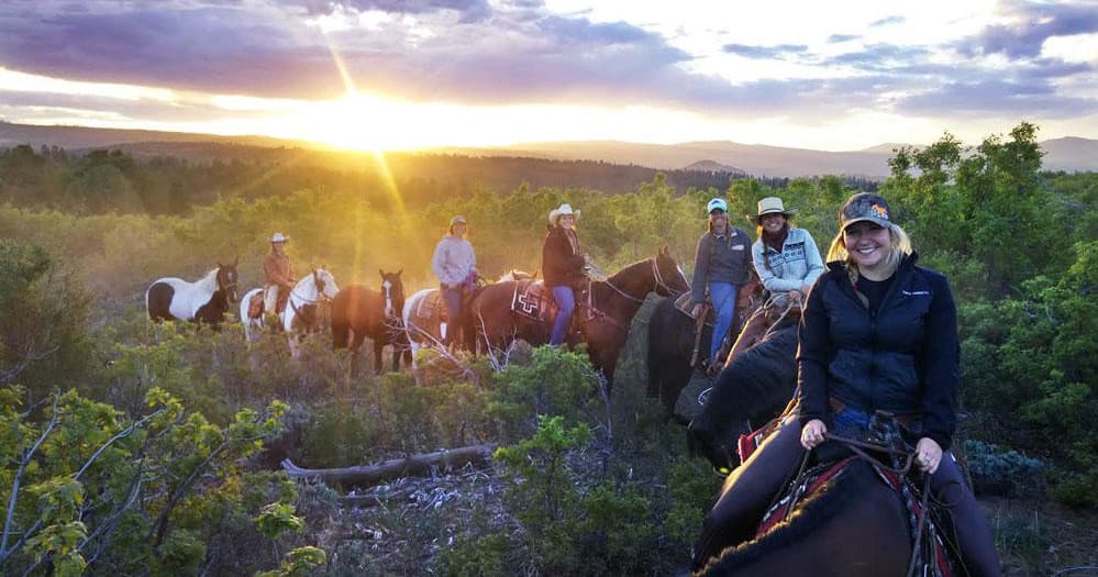 Checkerboard Evening Shadow Horseback Ride