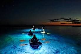 Moonlight Kayak Tour