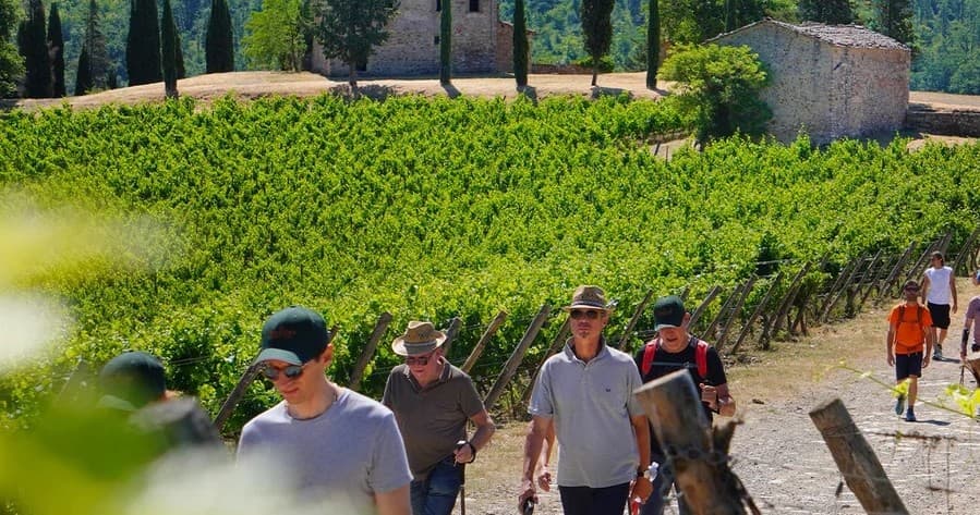 Fonterutoli Trekking & Wine Tasting