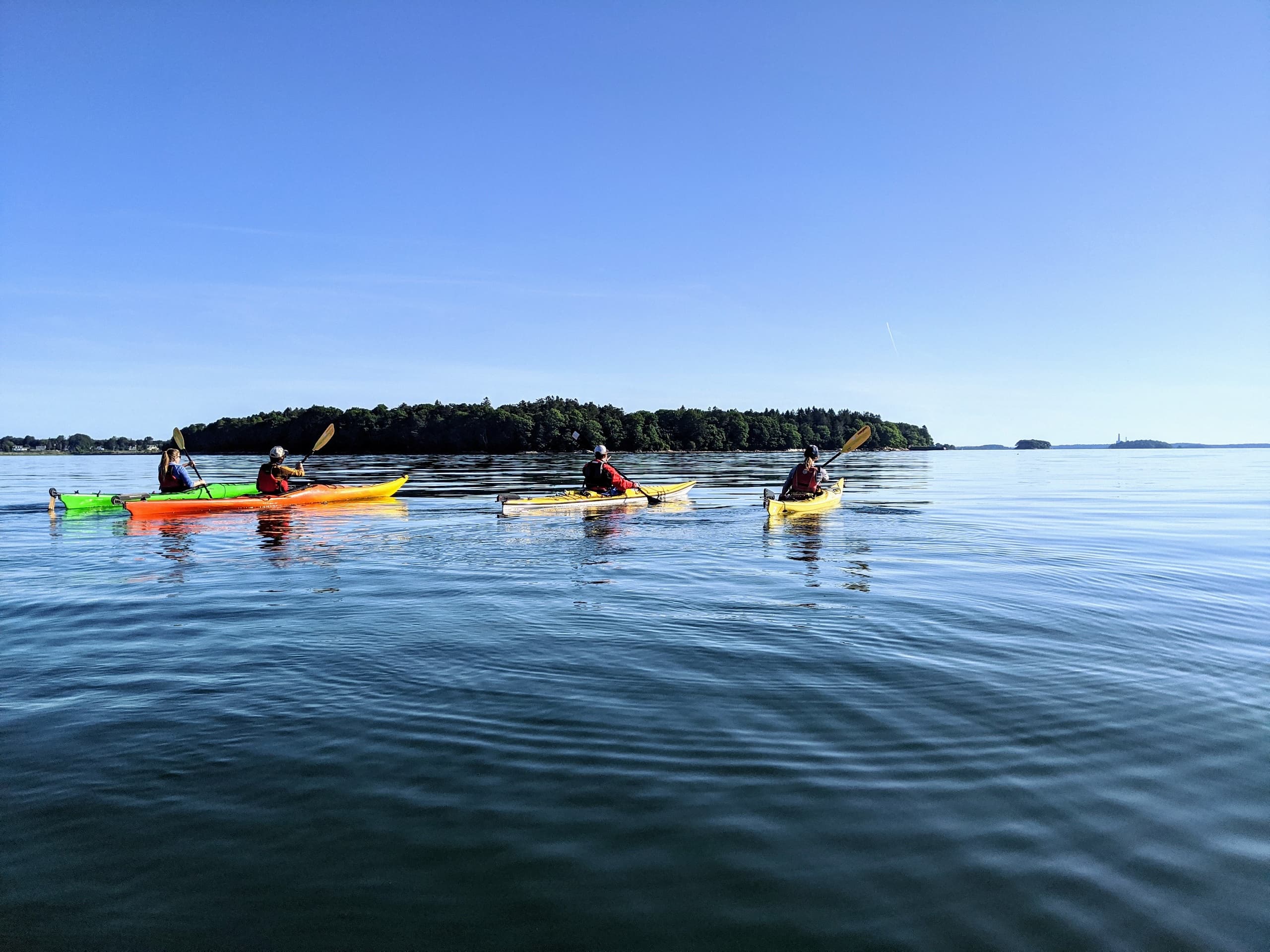 Half Day Sea Kayak Tour