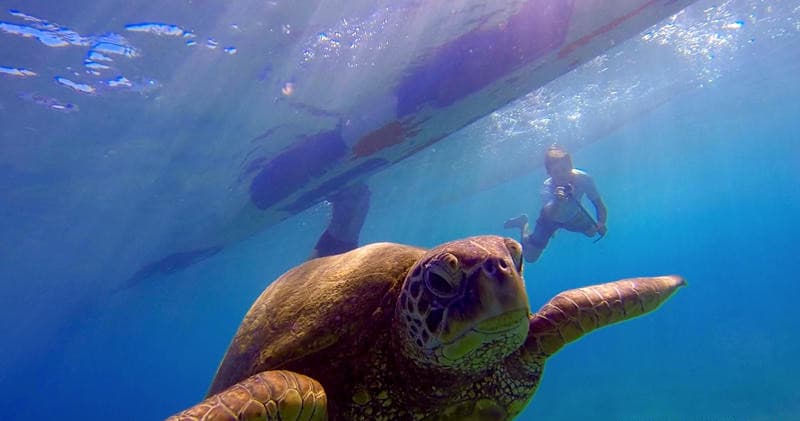Andaz Snorkel Outrigger Canoe Tour