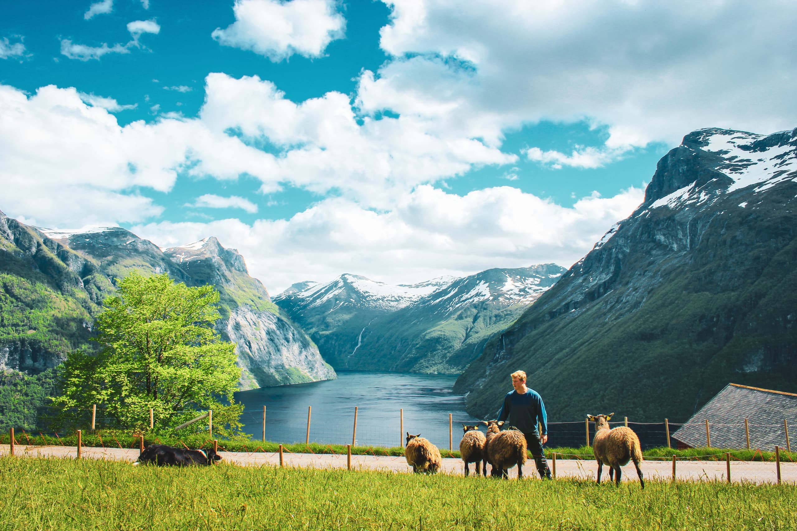Ljøen Farm Tour