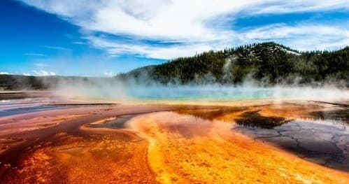 Full-Day Guided Yellowstone Day Tour