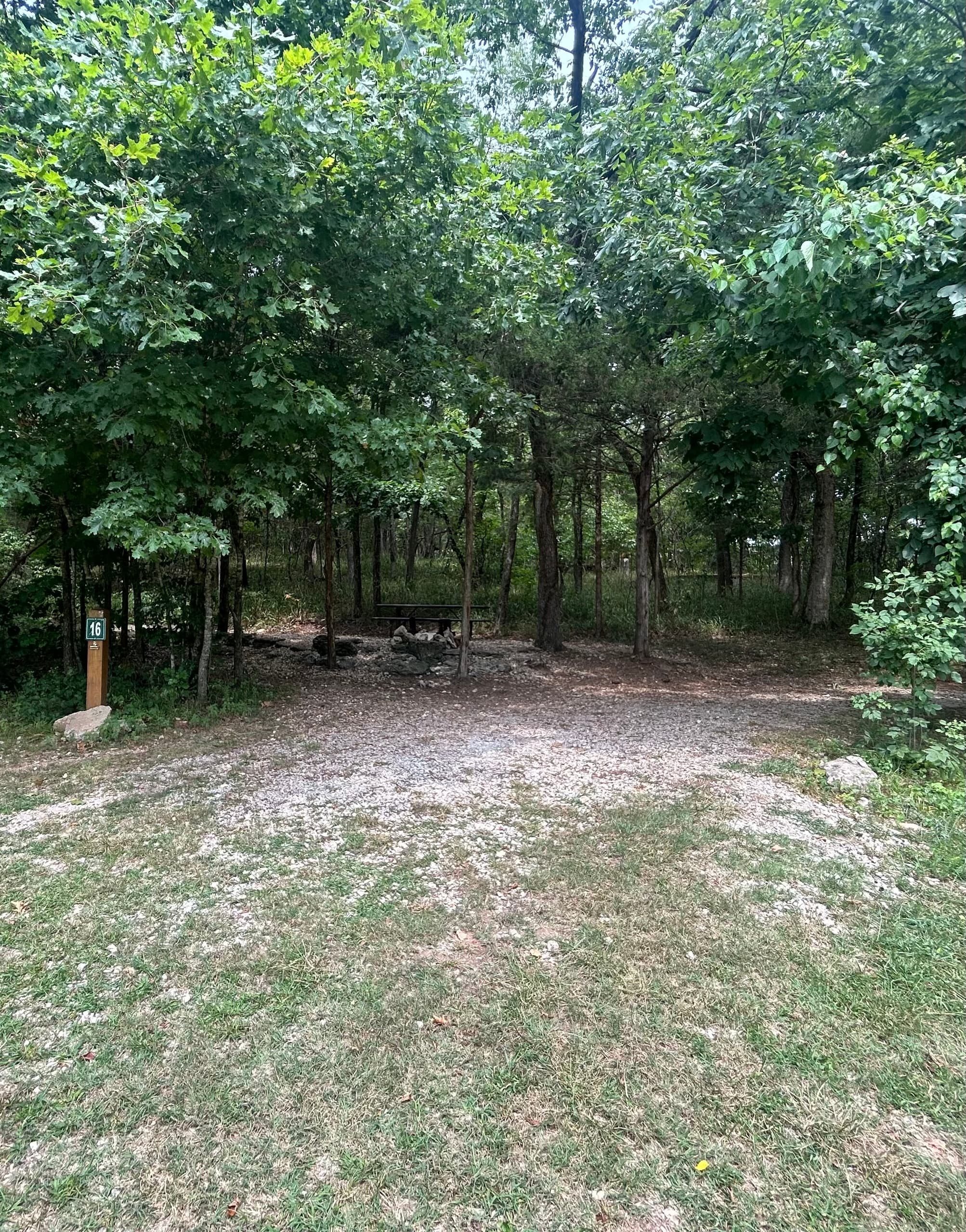 Meadow Campsite 16 (M16)