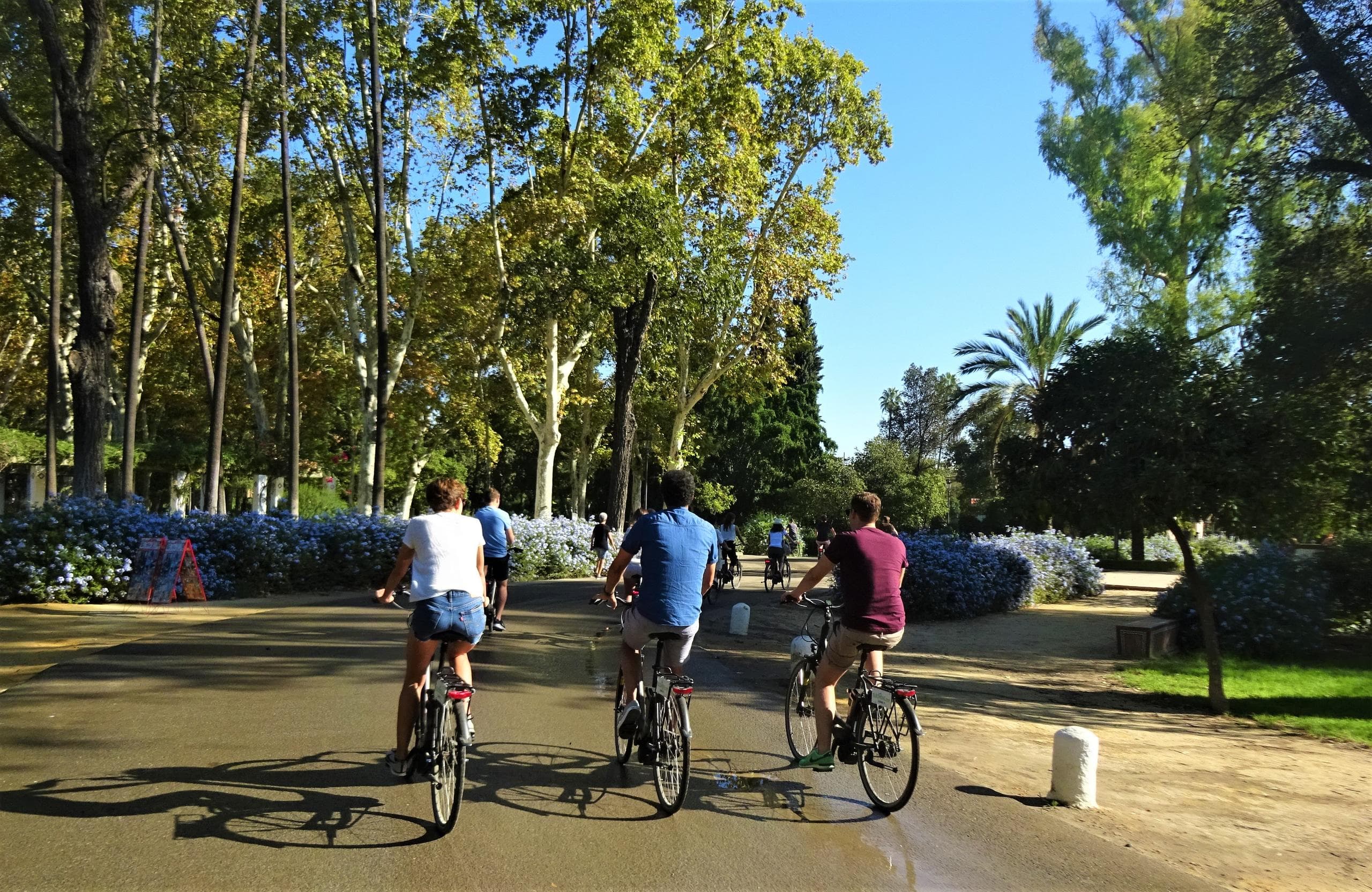 Alquiler de bicicletas eléctricas