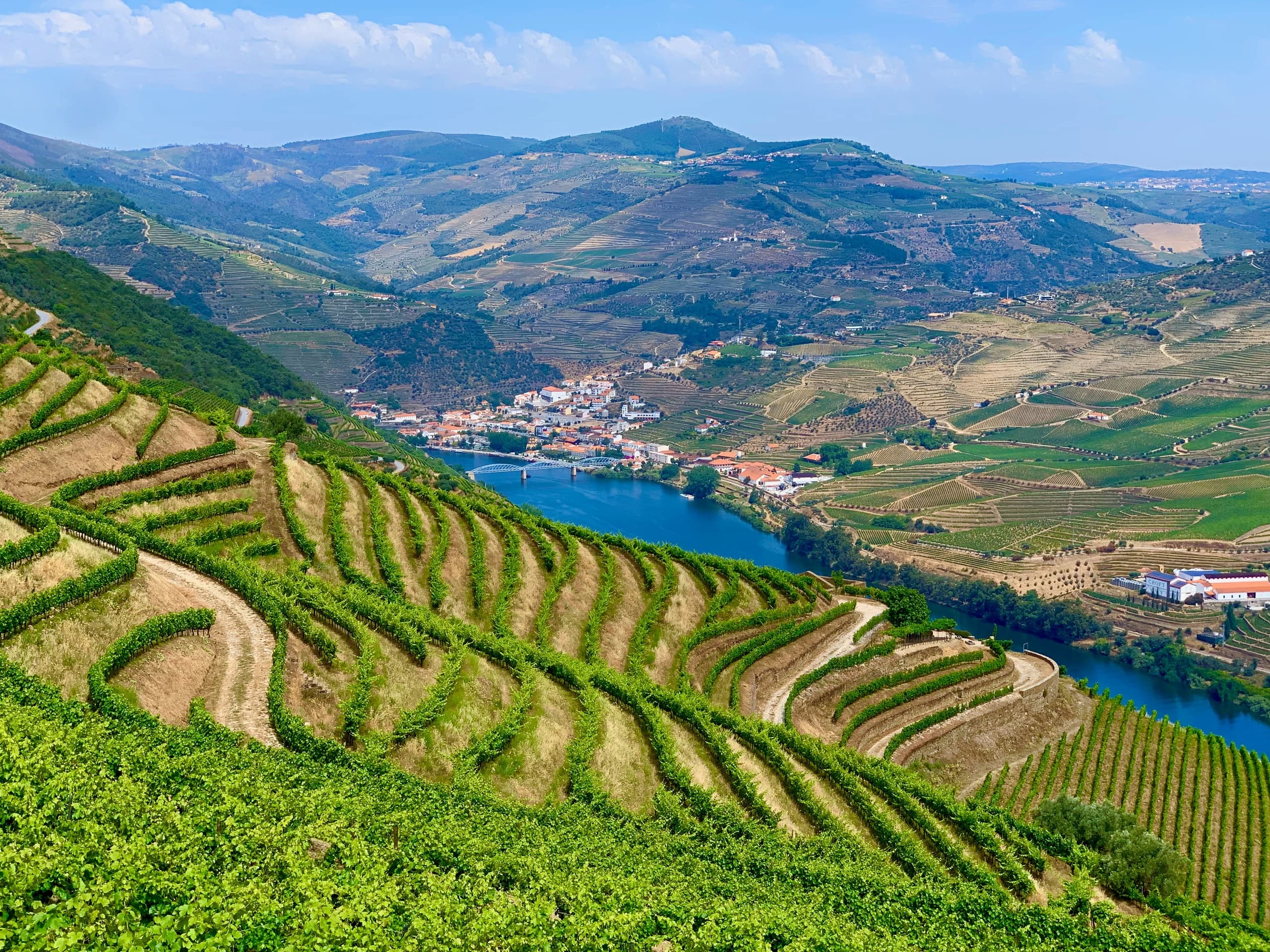 Douro Valley from Porto: River cruise, Wine Tasting & Gourmet Wine Pairing Lunch