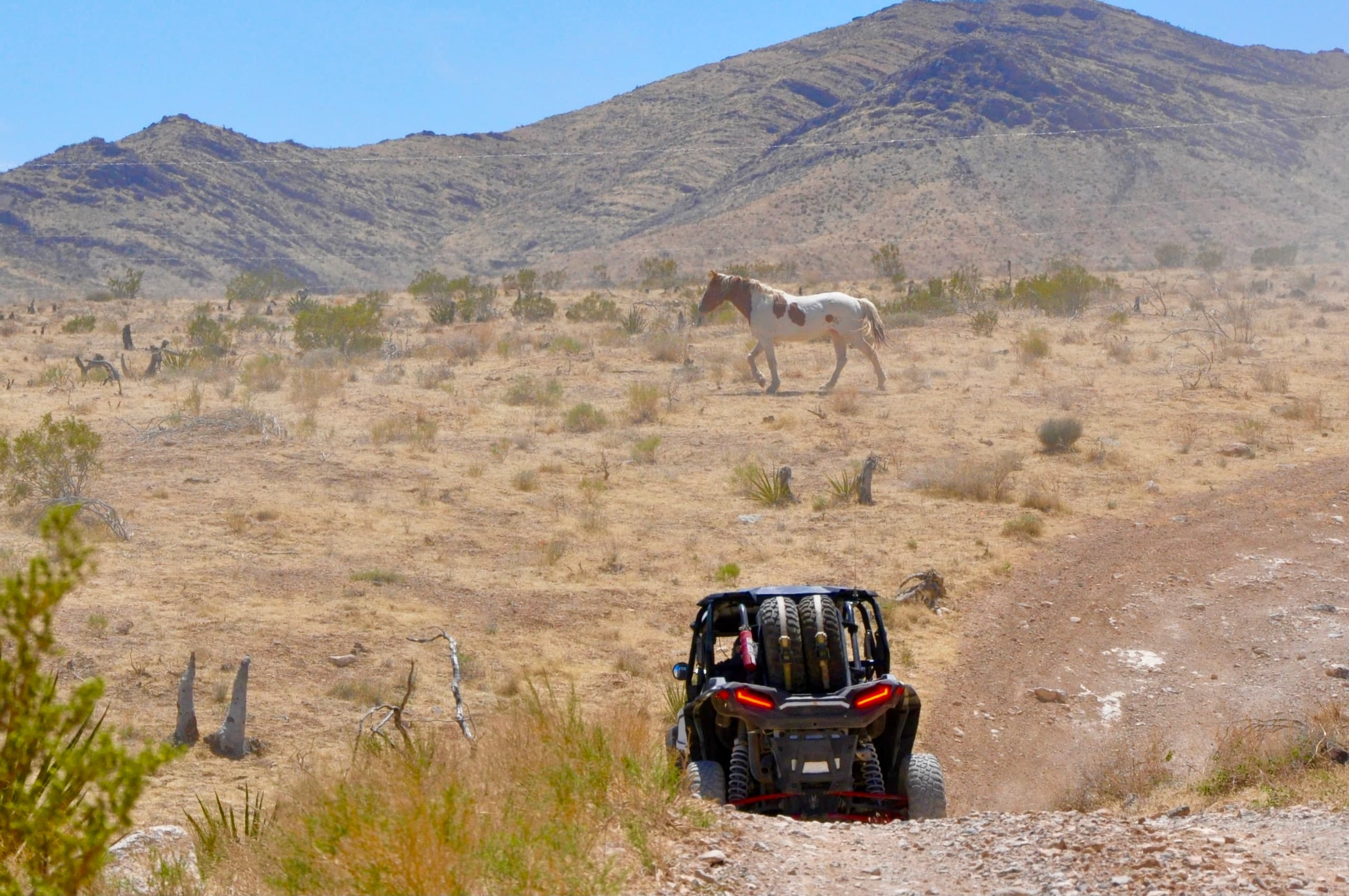 Las Vegas Mini Off Road  RZR Adventure | 1hr. & 15 Min.| Guided Tour Special!
