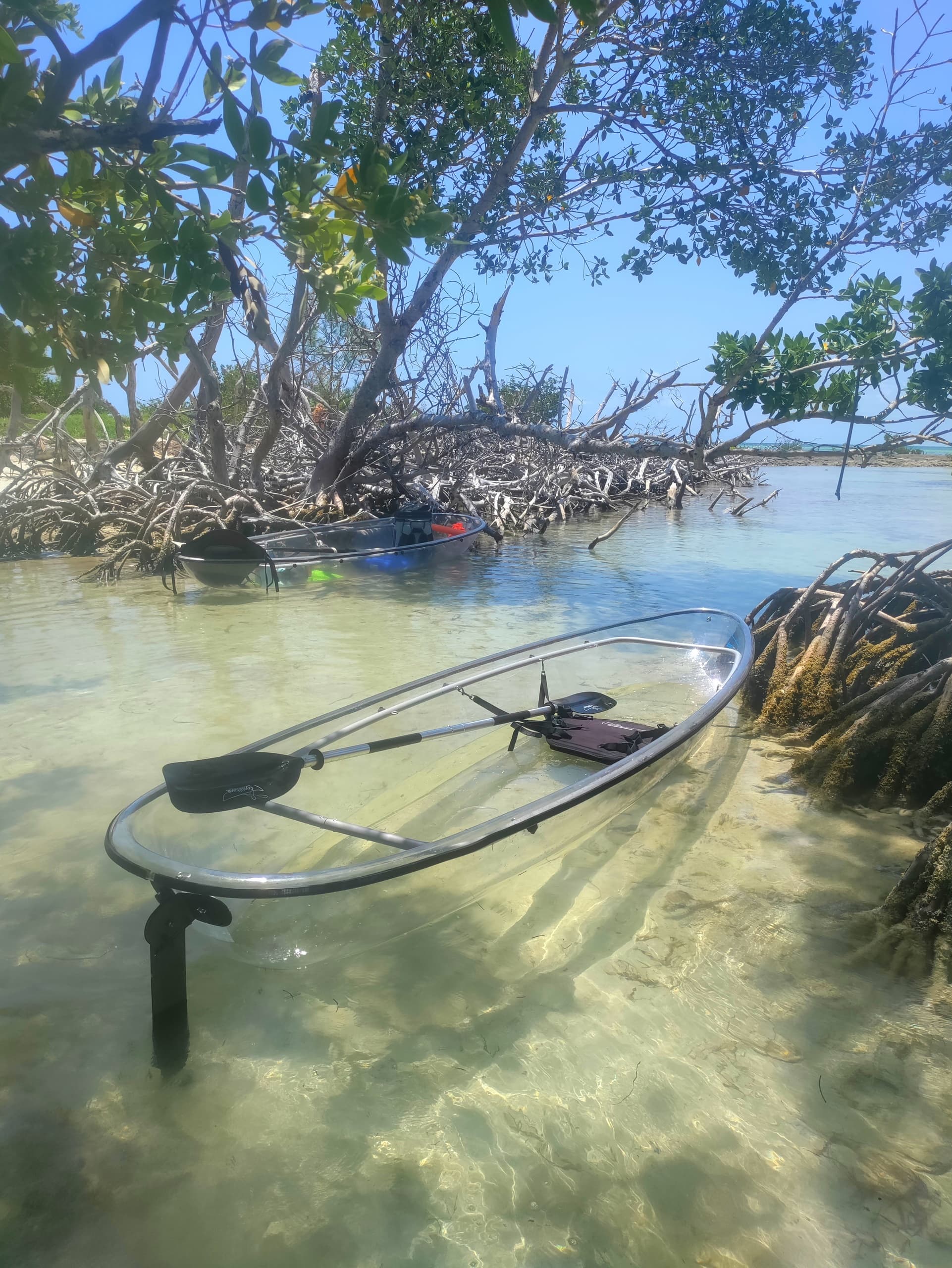 Clear Kayak  Eco-Tour