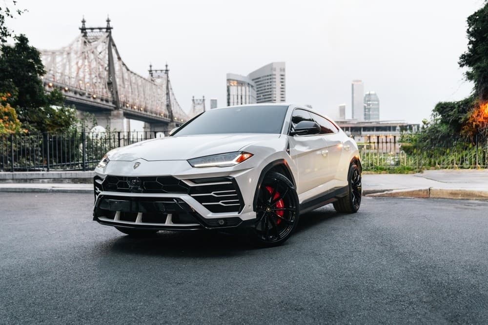 Lamborghini Urus (White)