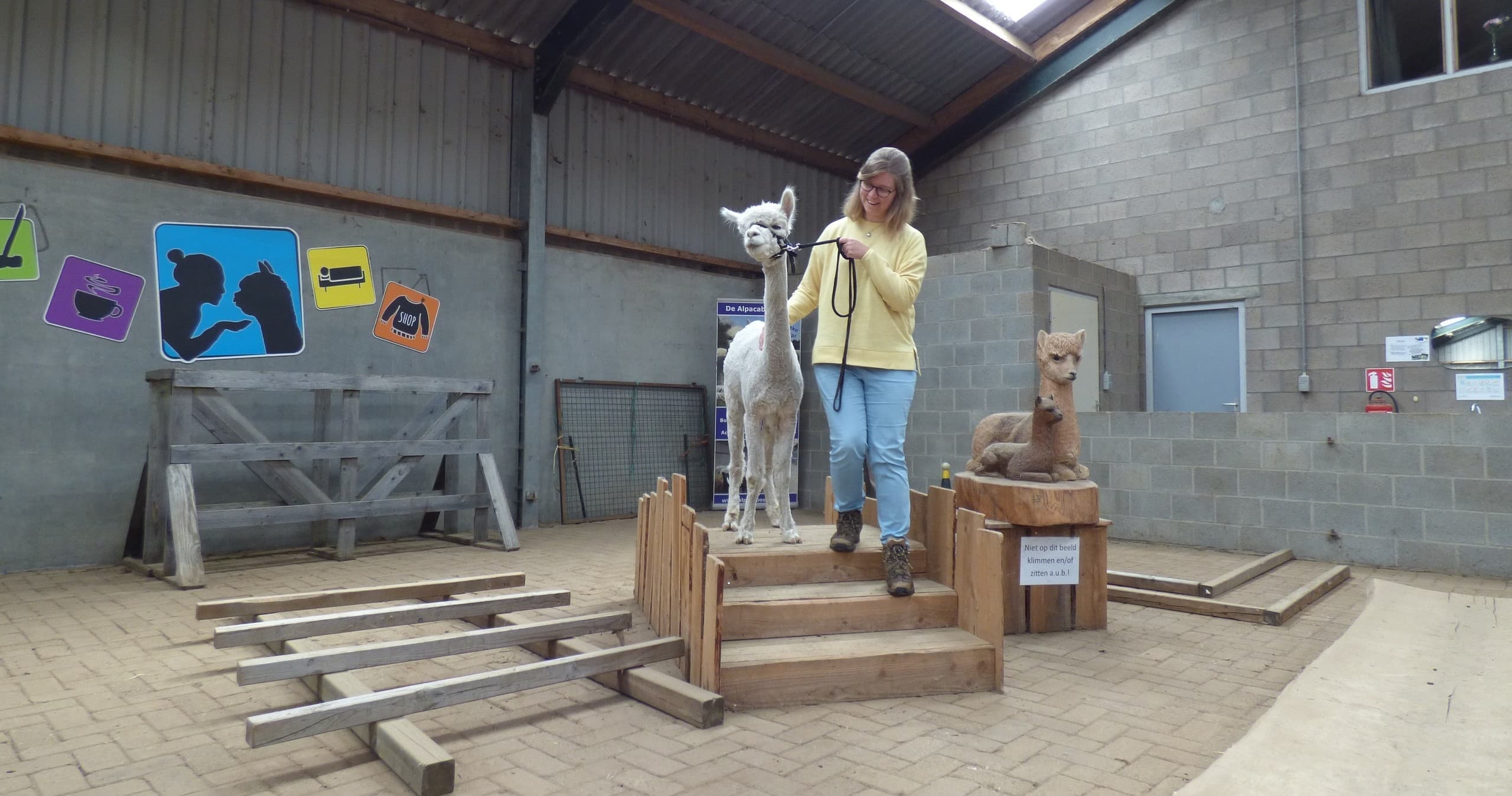 Vrijgezellen - Arrangement AlpacAgility