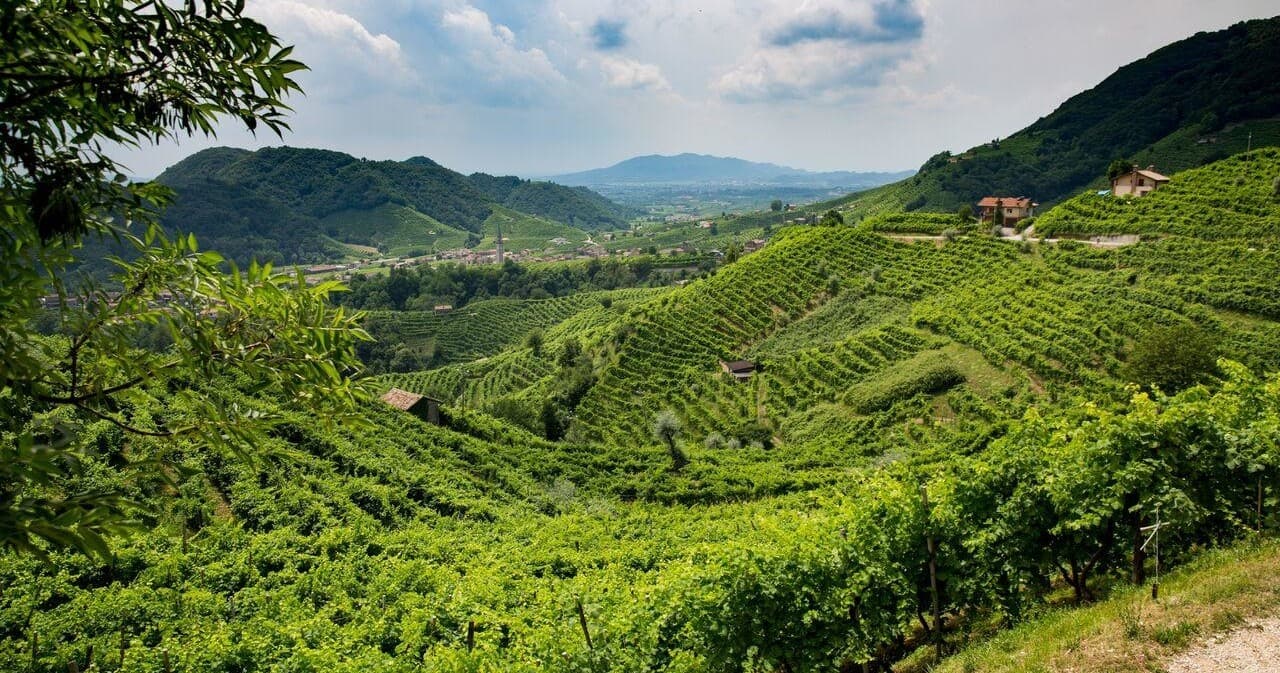 Bike Tour sulla sulla strada del vino Prosecco Conegliano Valdobbiadene