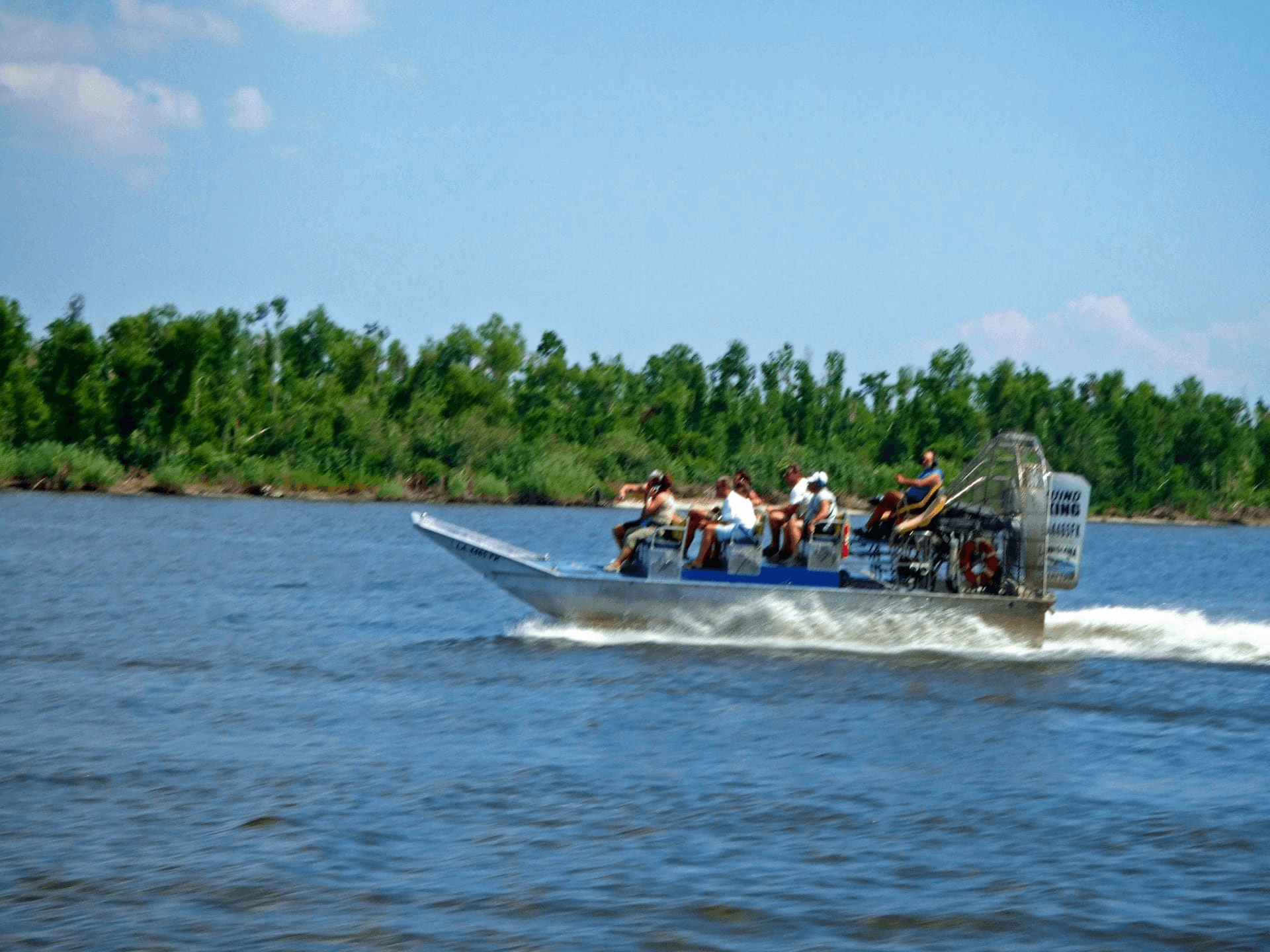 Airboat Swamp Tour - Small Boat - Drive Out
