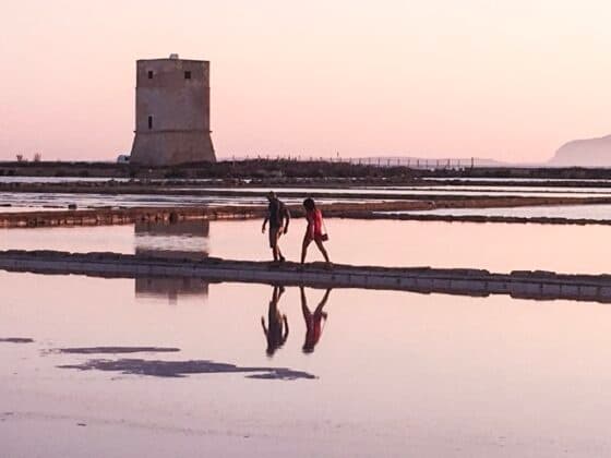 Tour del Sale: tour delle saline di Trapani, Paceco e Nubia