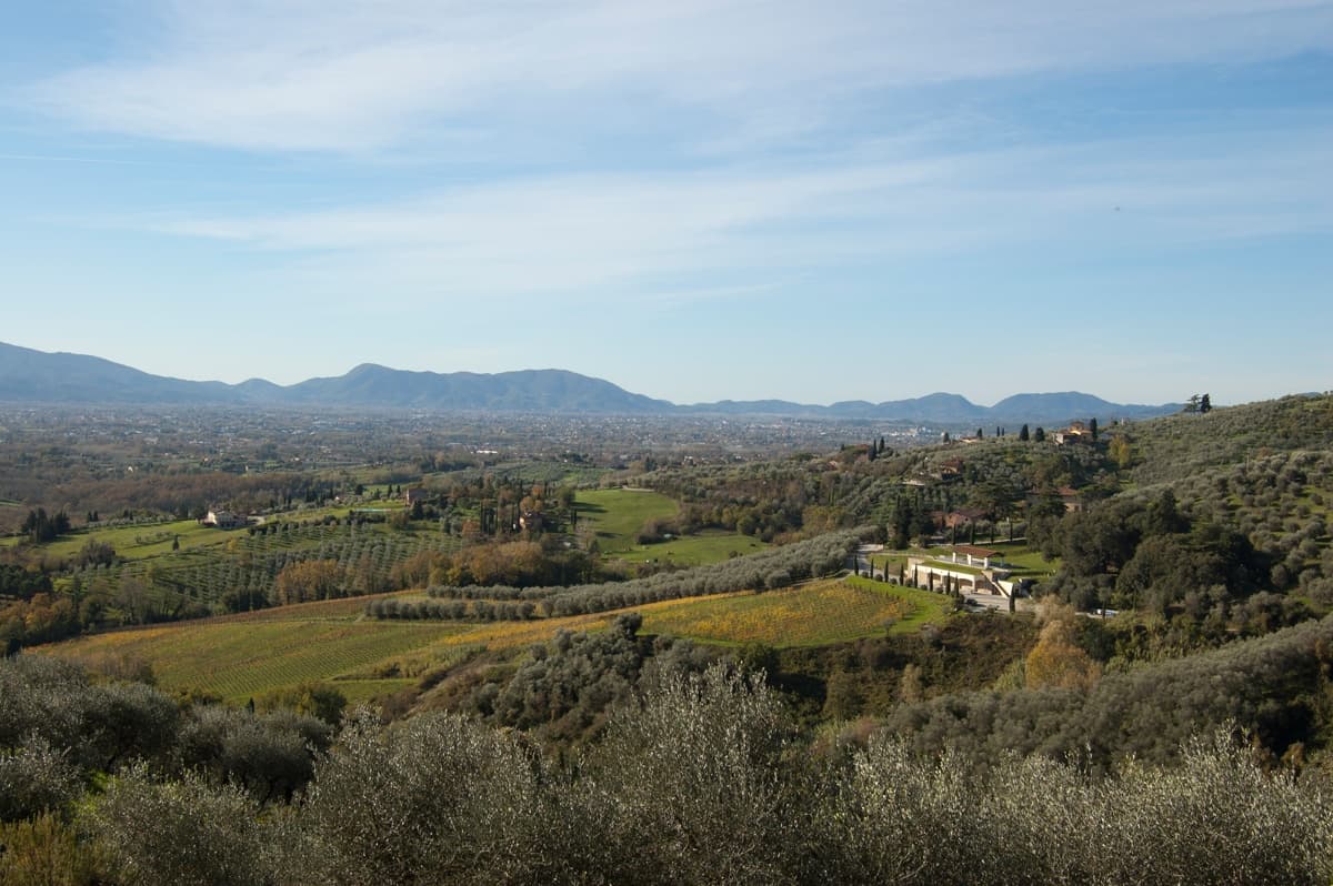Private walking and wine tour in the nature