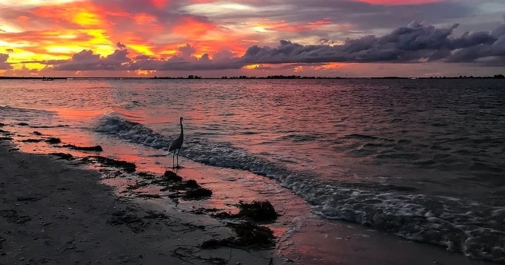 Fort Myers Beach Sunset Tour
