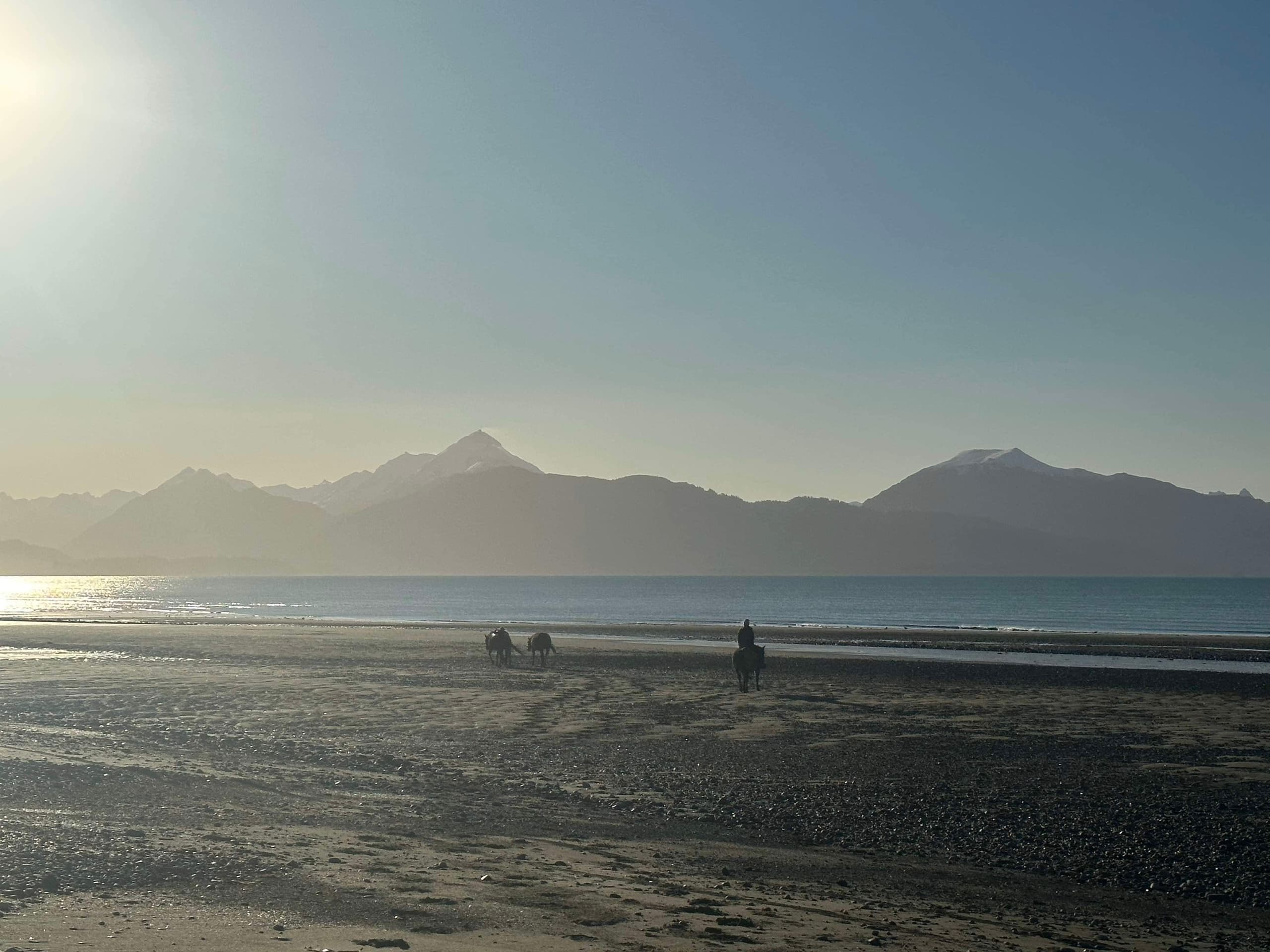 Anchorage to Homer