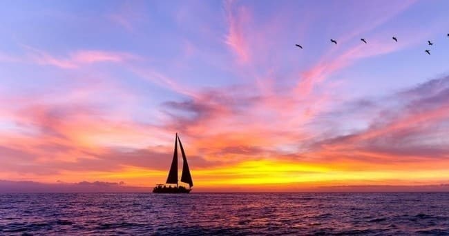 Sunset & Dolphin Sightseeing on the Daydreams Sailboat