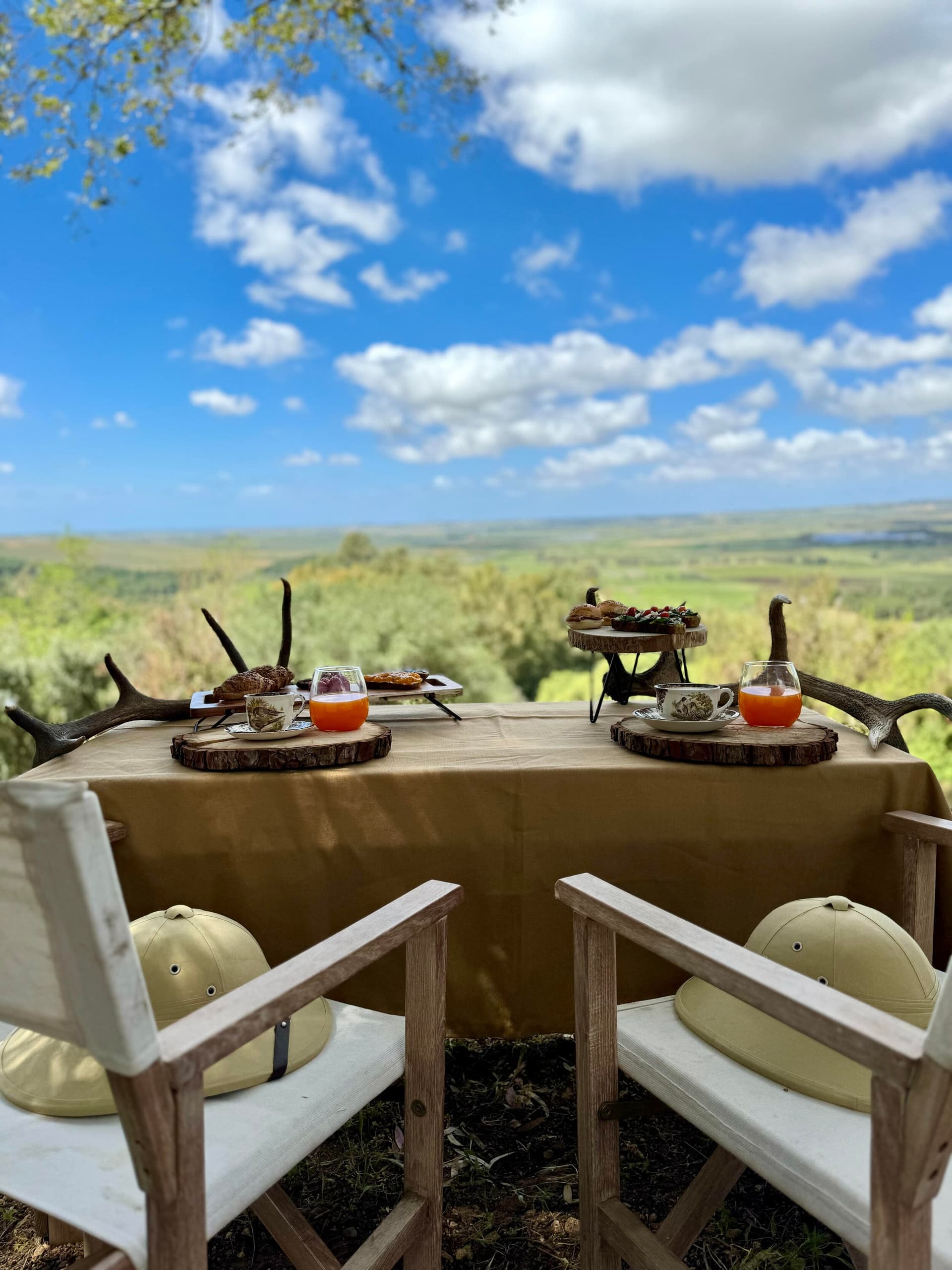 Safari e Colazione