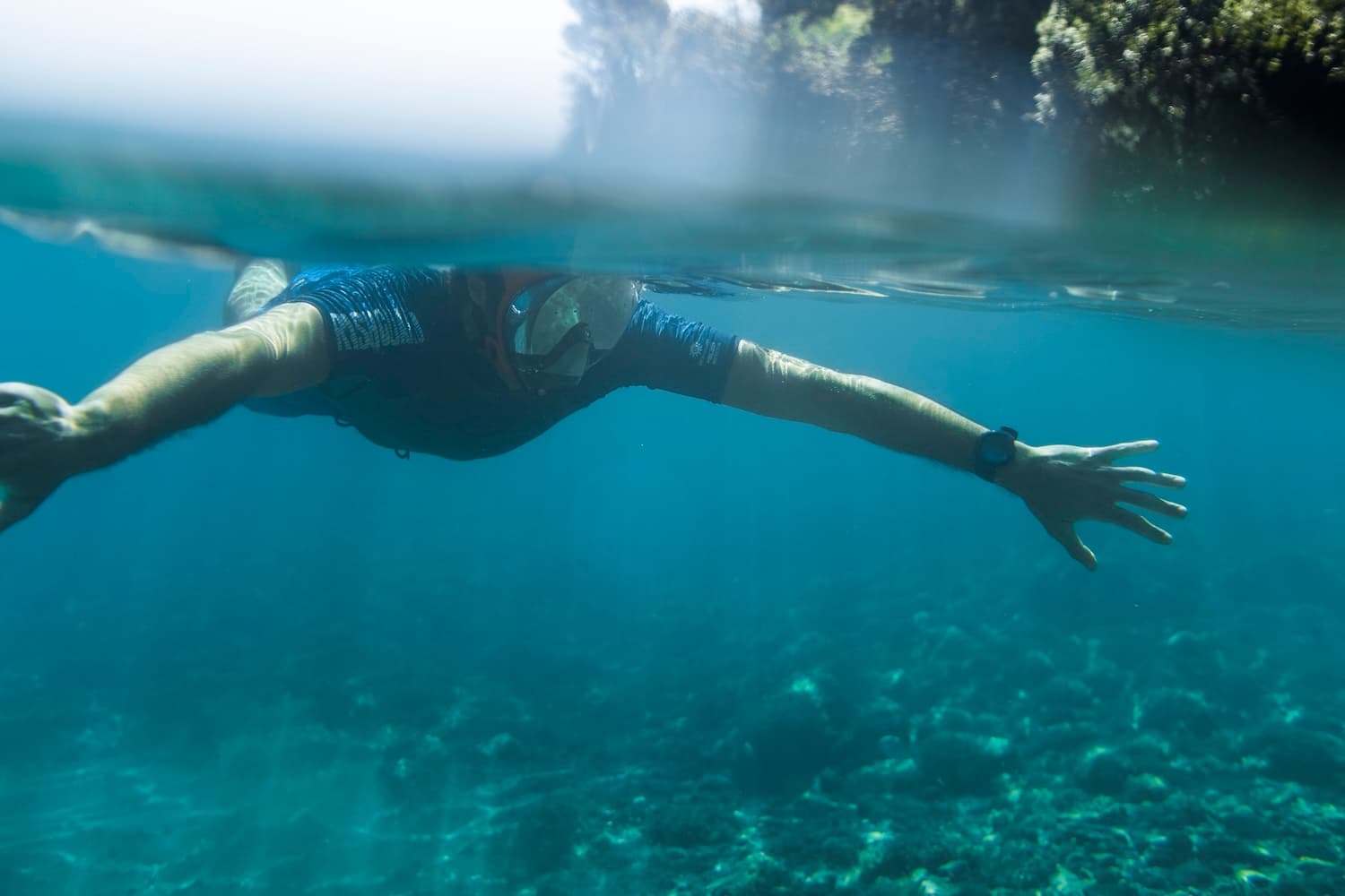 Eco snorkeling: scopri la biodiversità alle Cinque Terre