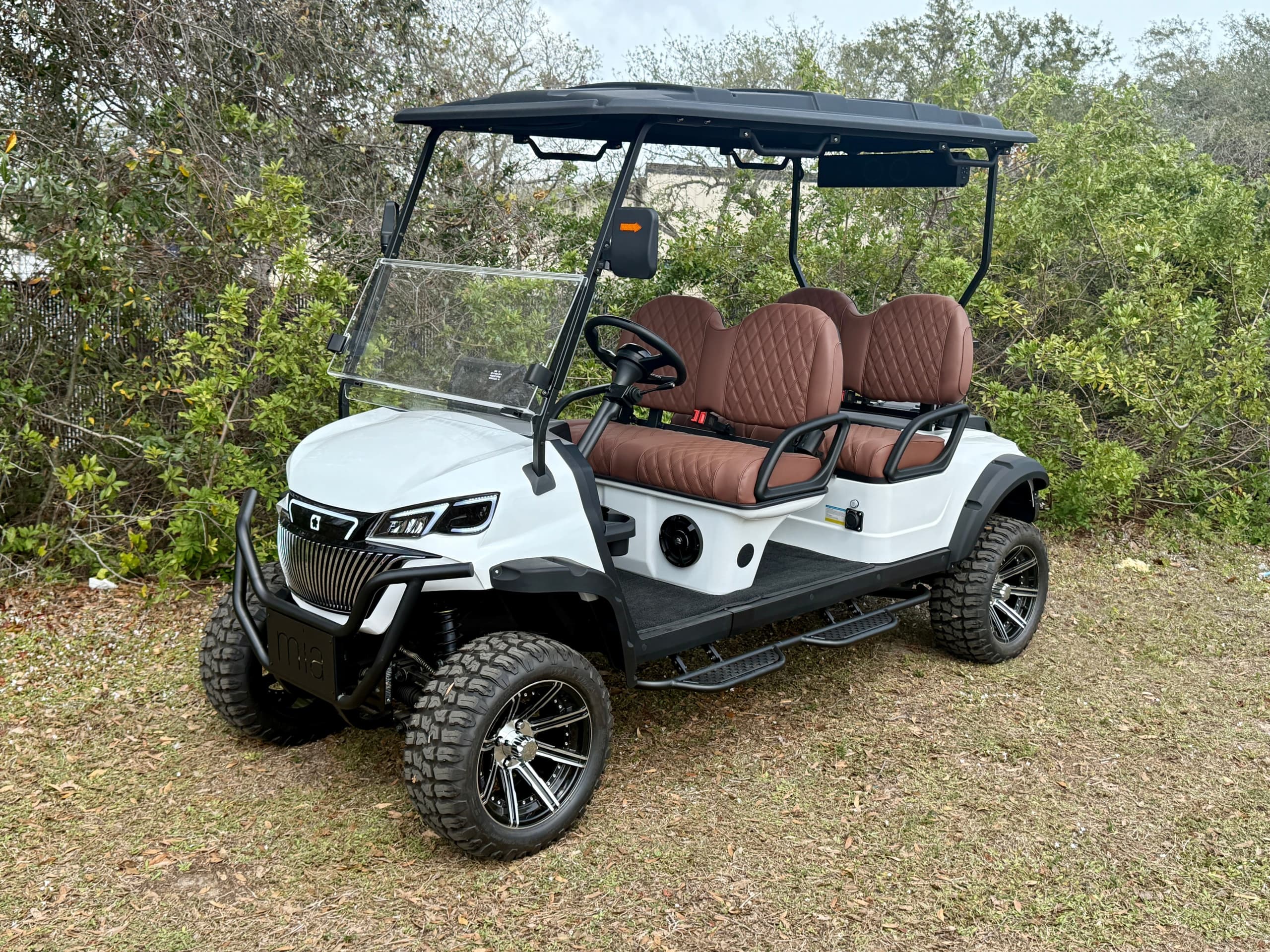 4 Passenger Electric Golf Cart Rental