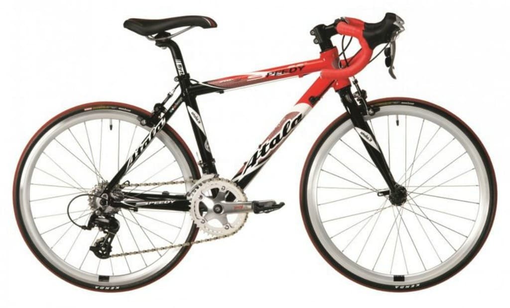 Professional Bike Rental - 4 Days