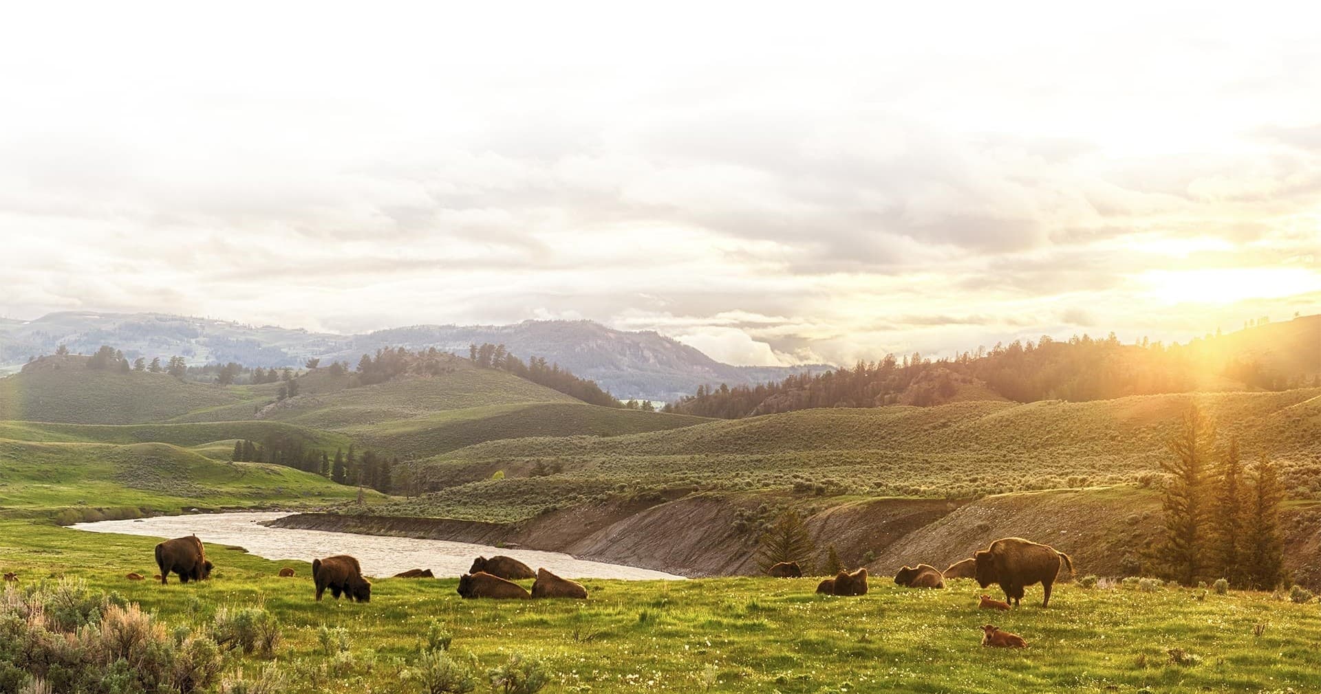 Grand Teton Private Tour: Dawn