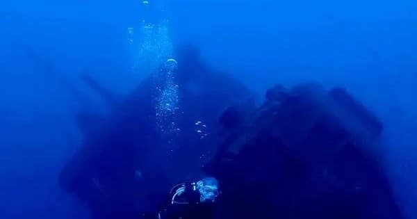 Rescue Diver