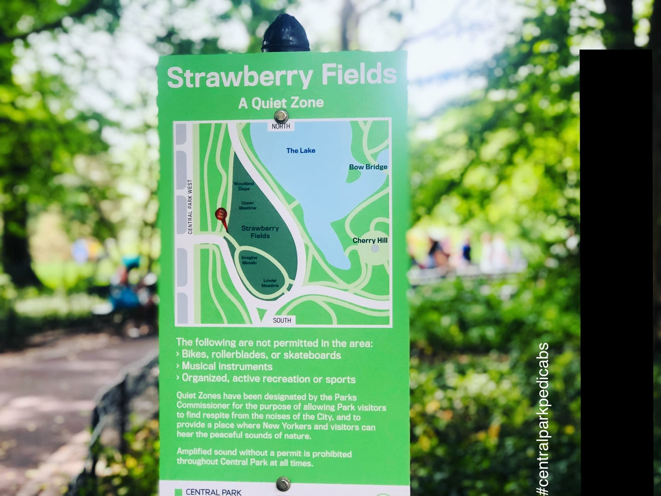 1-Hr. Central Park Pedicab Tours