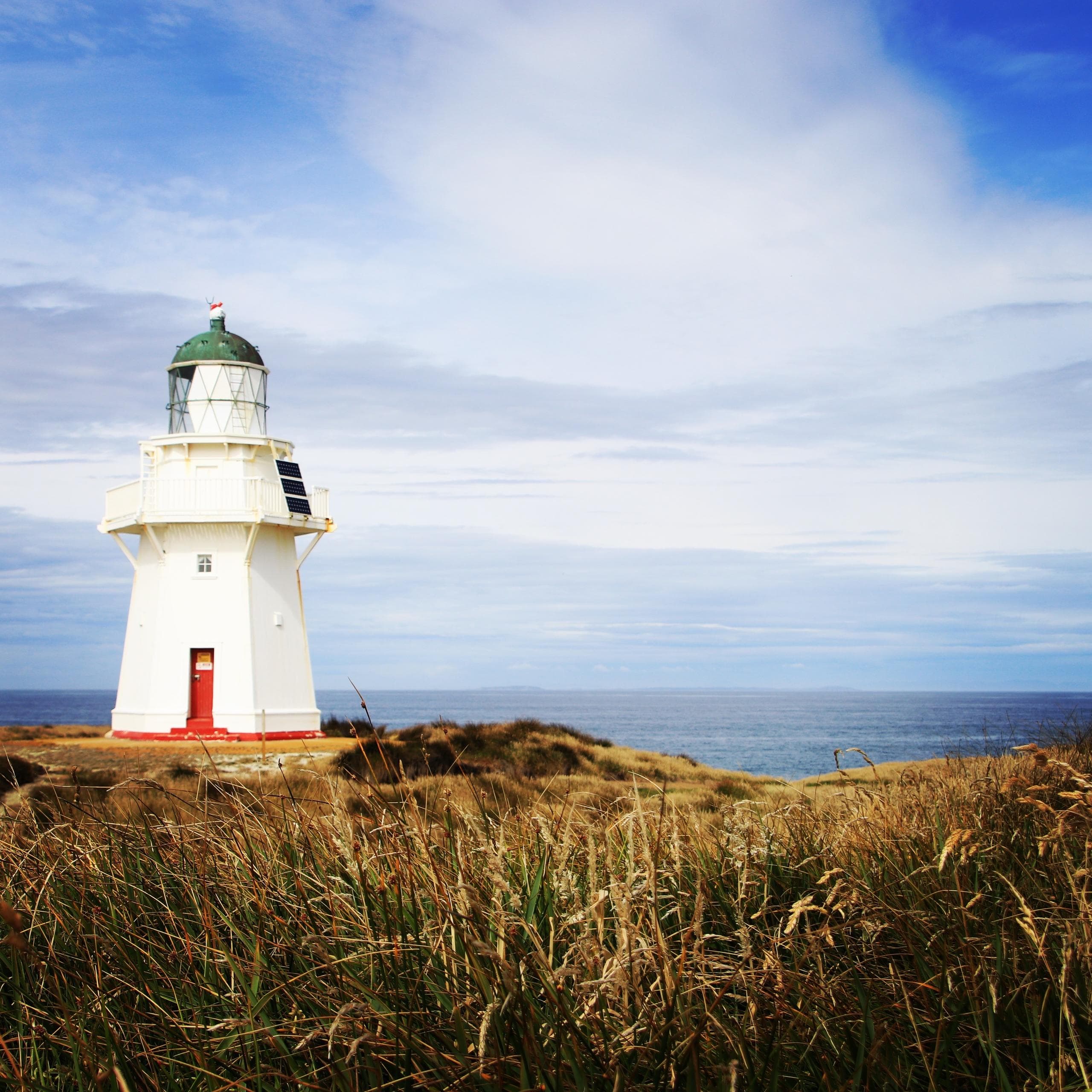 The Catlins Day Tour