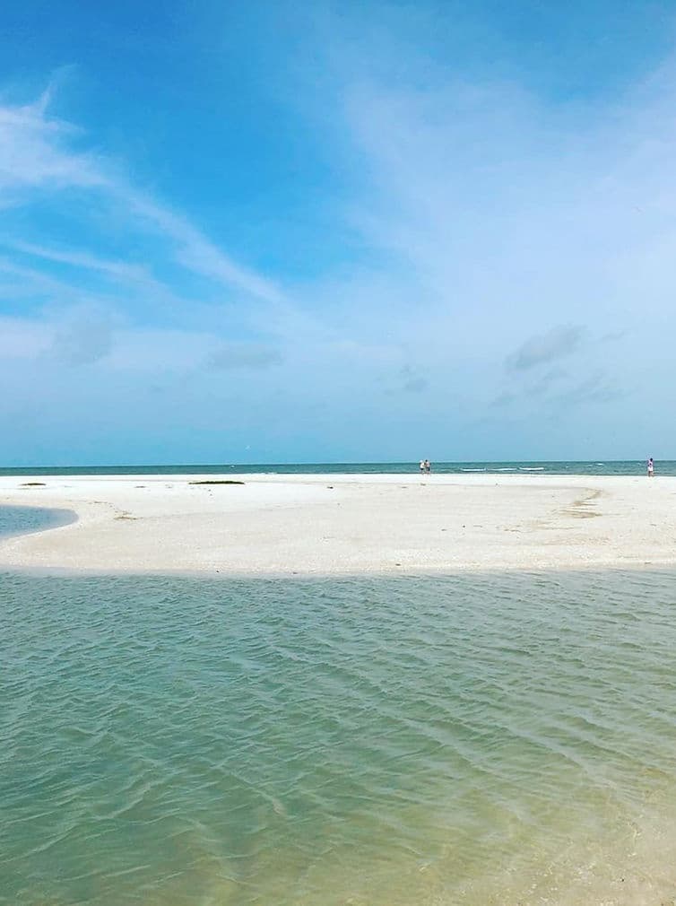 Little Hickory Island Beach & Shelling